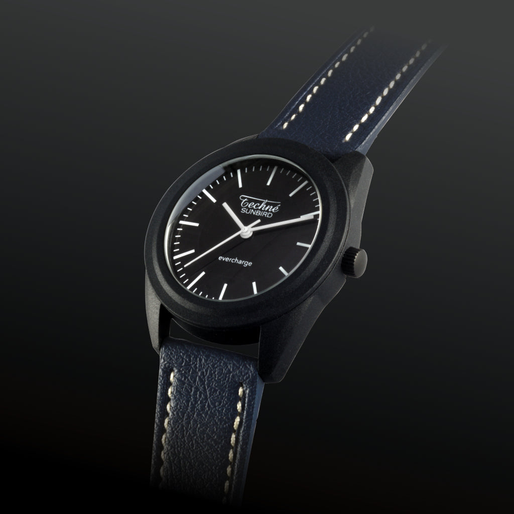 SunBird Solar appleskin