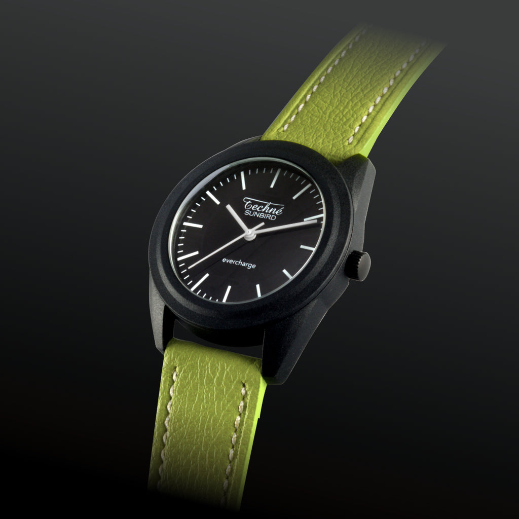 SunBird Solar appleskin