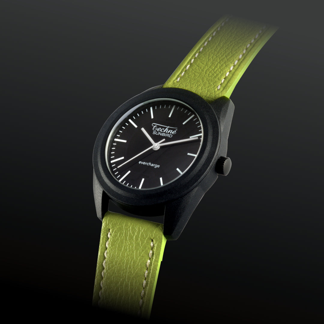 SunBird Solar appleskin