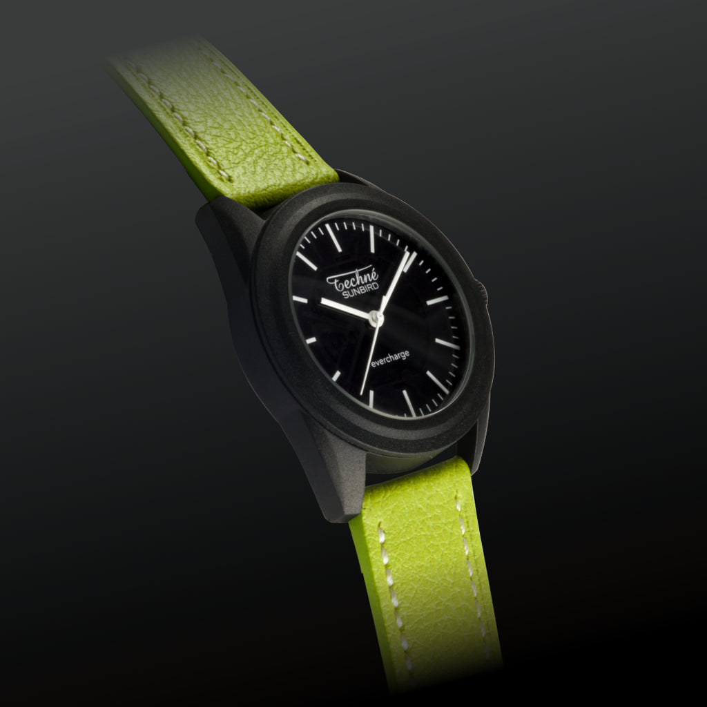 SunBird Solar appleskin
