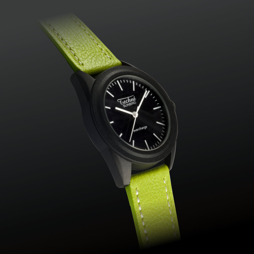 SunBird Solar appleskin