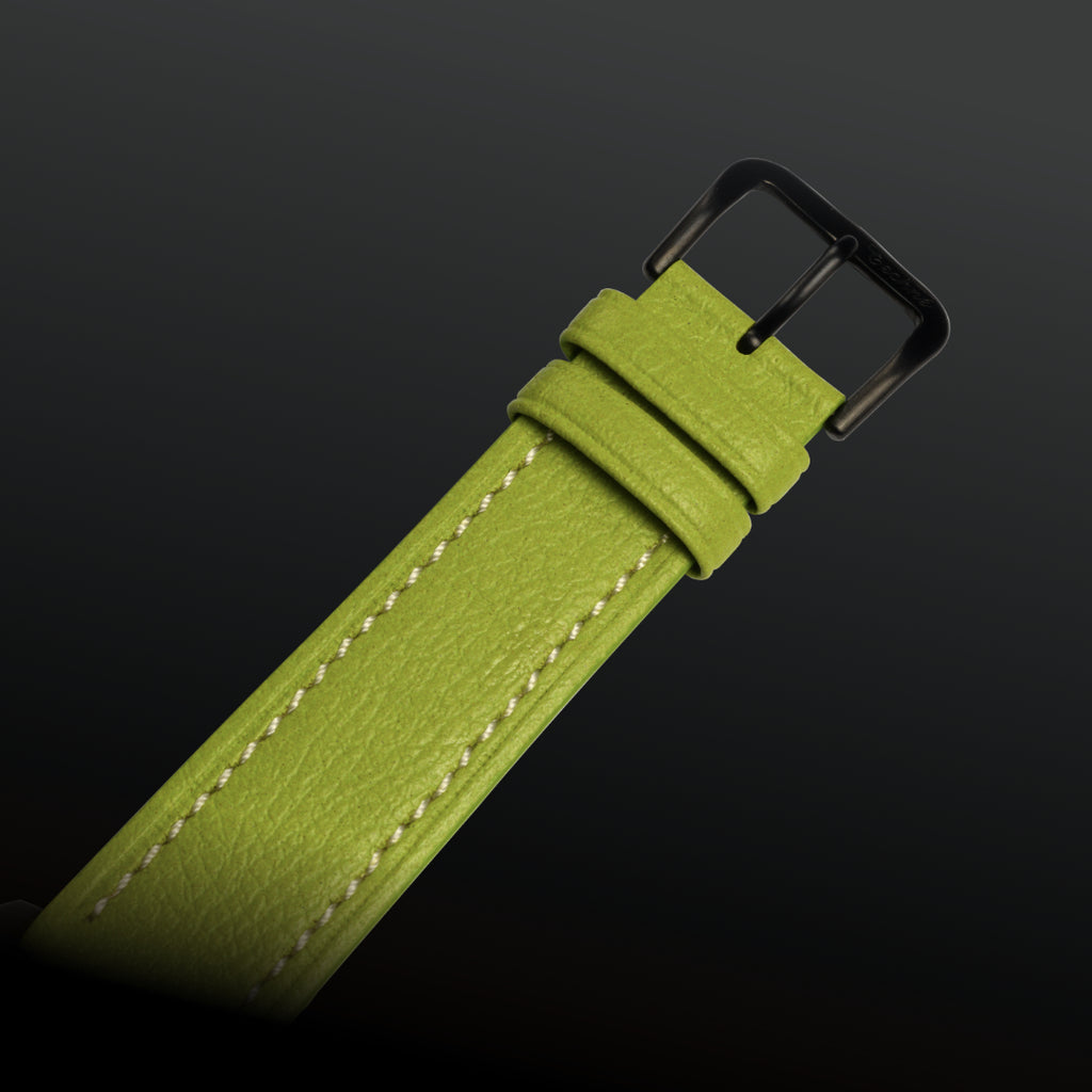 SunBird Solar appleskin